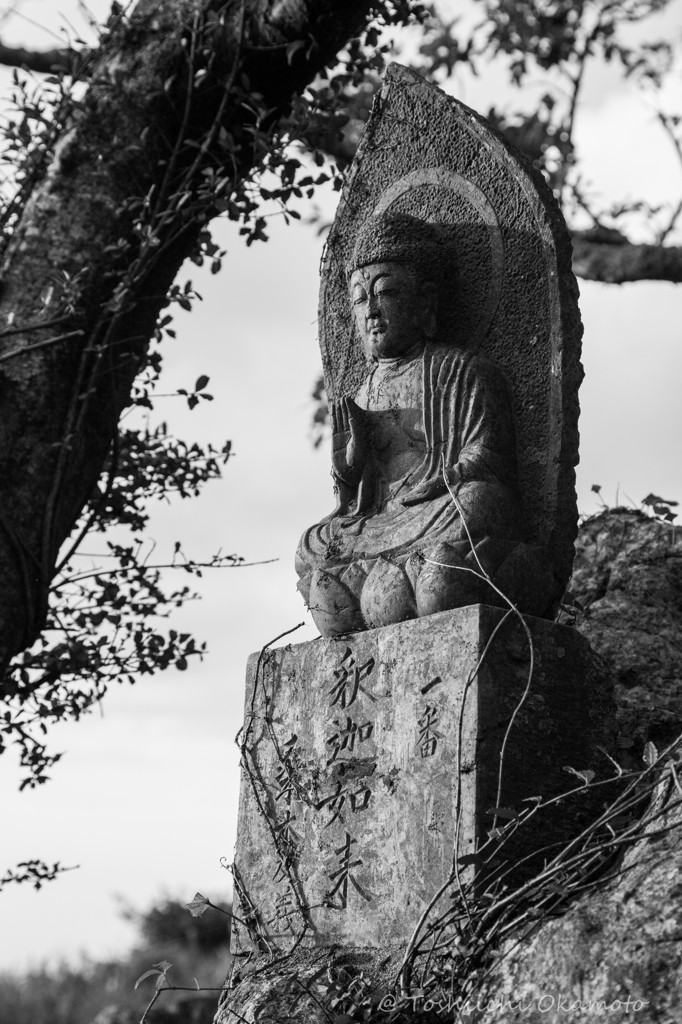 平尾台　１３
