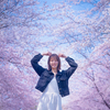 桜日和