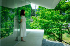 Green&Lily