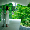 Green&Lily