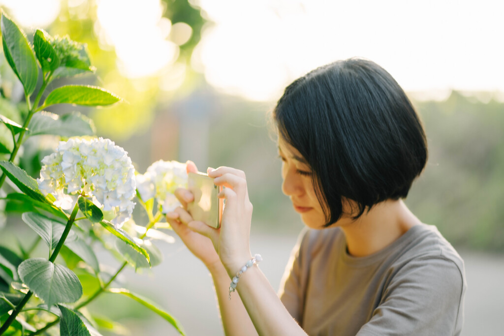 SHIHO&紫陽花