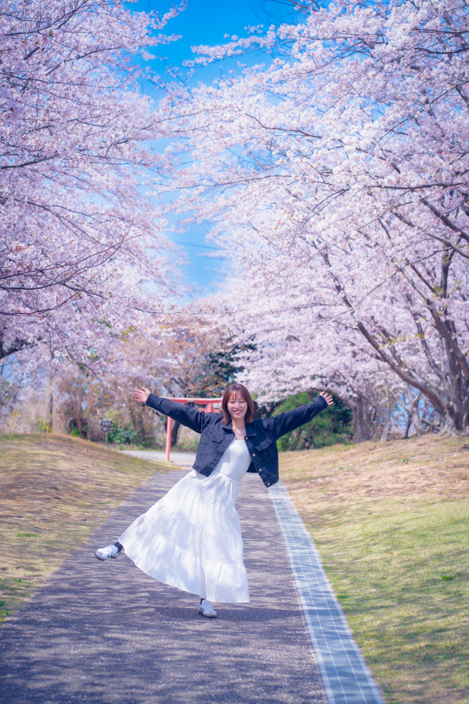 桜日和