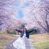 桜日和