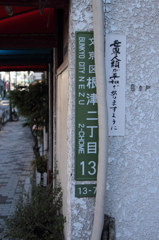 DPP_0008　根津界隈