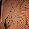 Wall