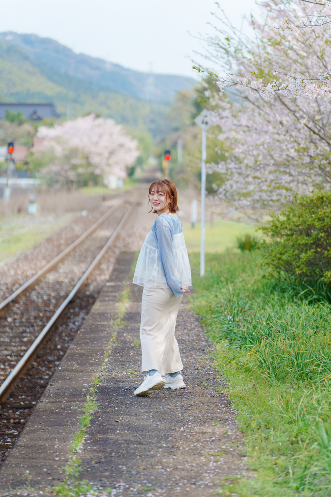 SATO 桜　