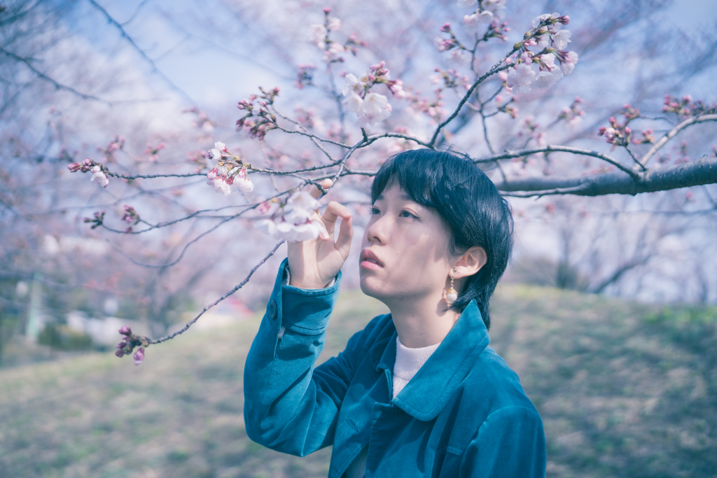 SHIHO 桜