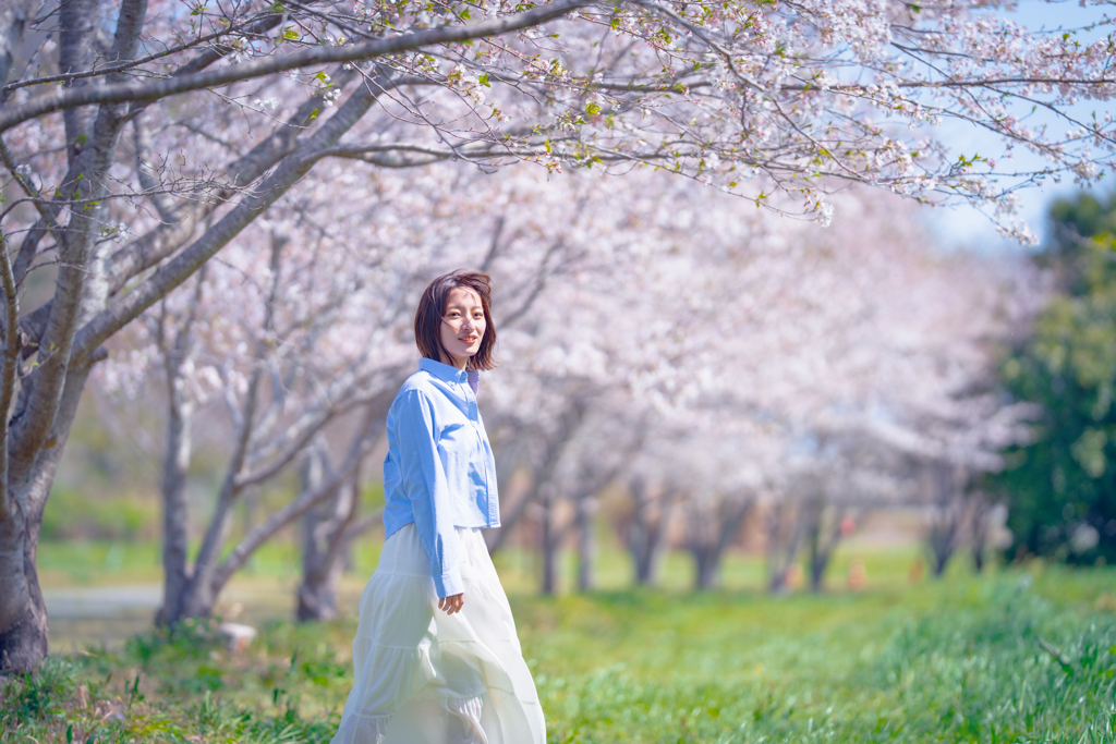 薄桜色