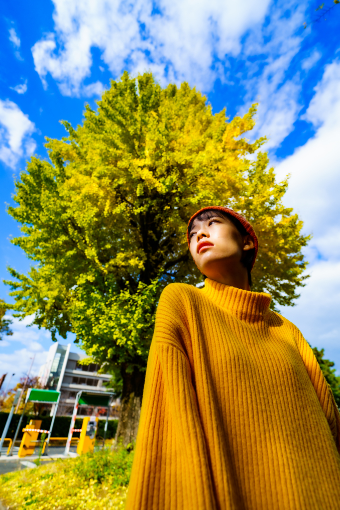 SHIHO　小倉城　紅葉