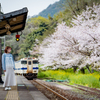 SATO　桜列車