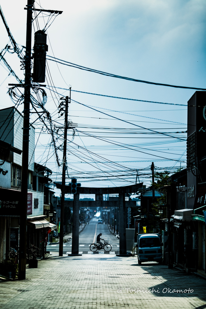 自転車おじちゃん(*^ω^*)