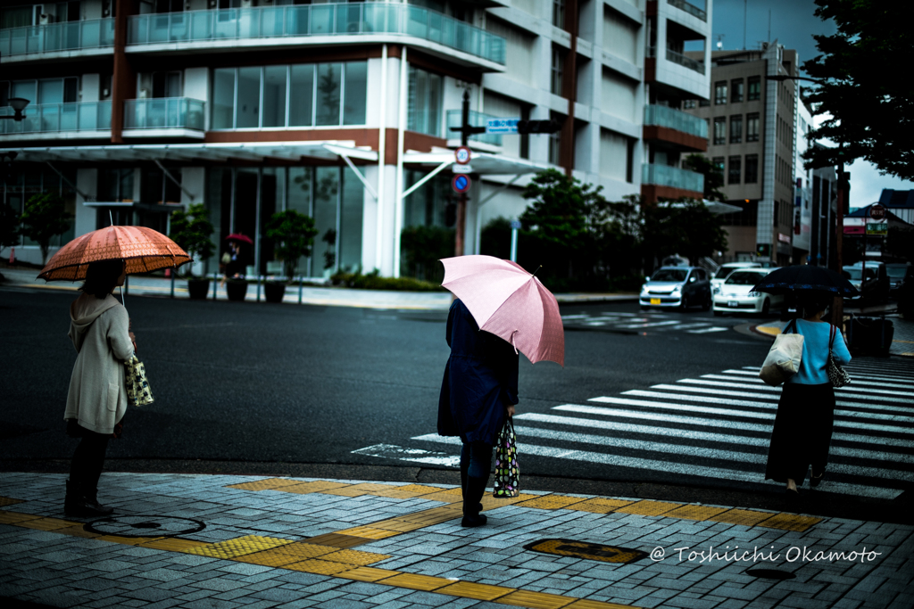 Rainy Day