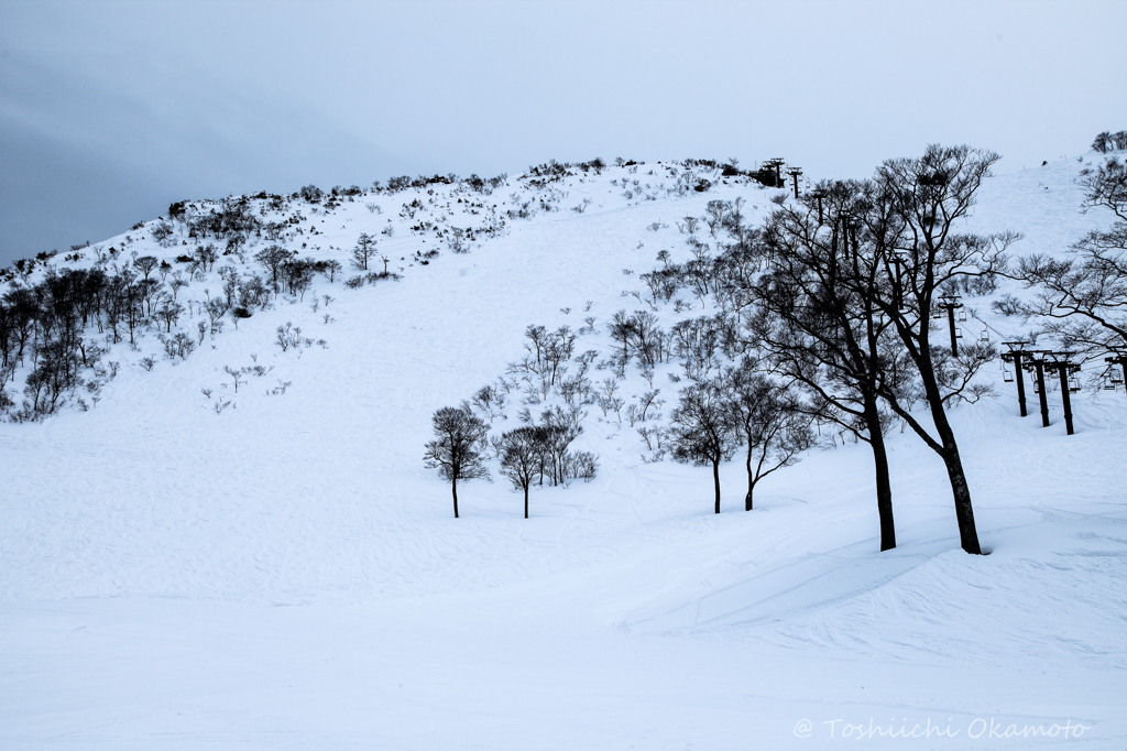 雪景色　1