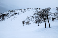 雪景色　1