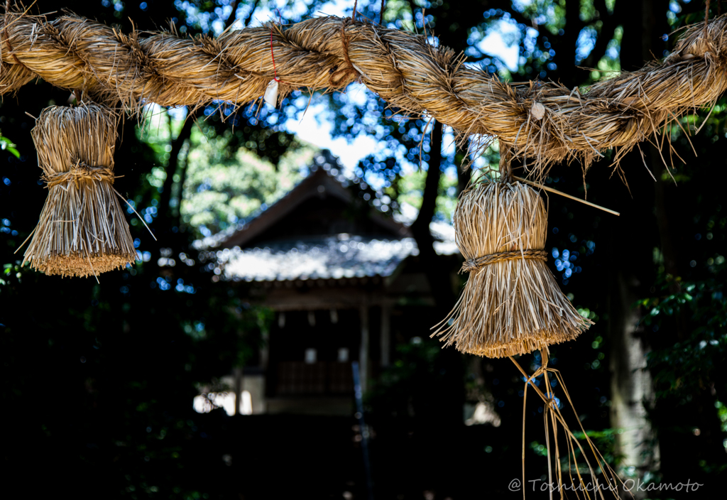 注連縄の向こう．．．