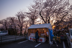 SAKURA
