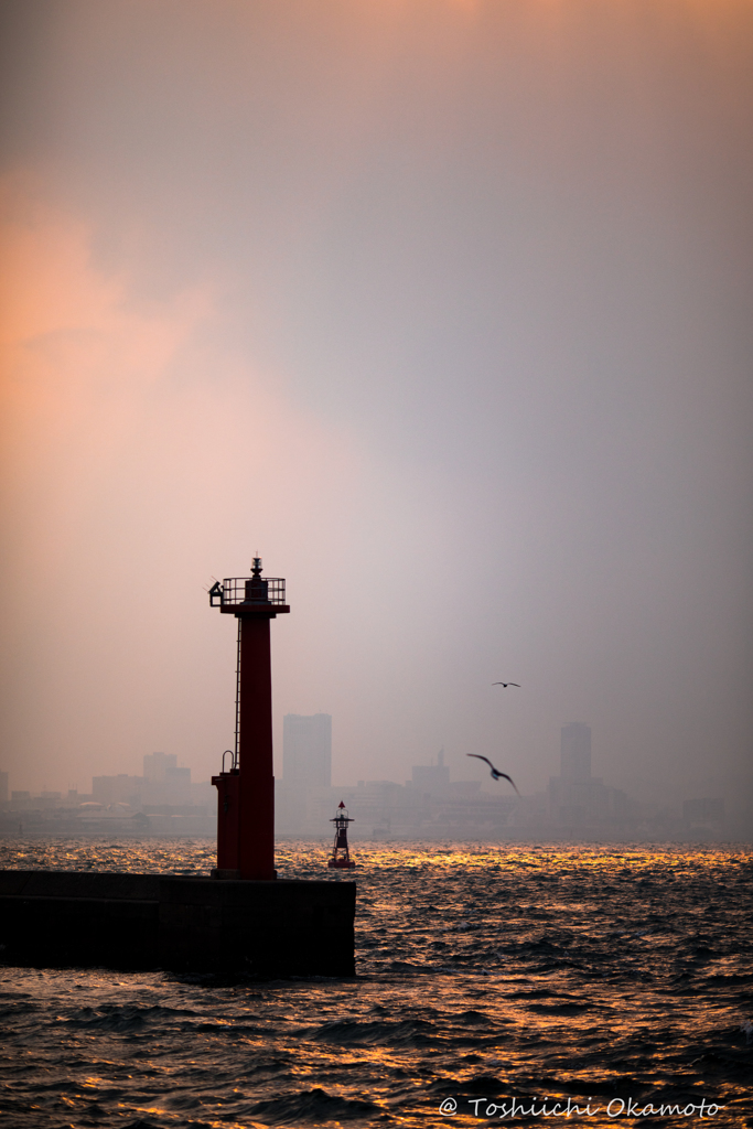 Lighthouse&Seagulls