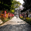 八坂神社参道