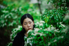 Shiho