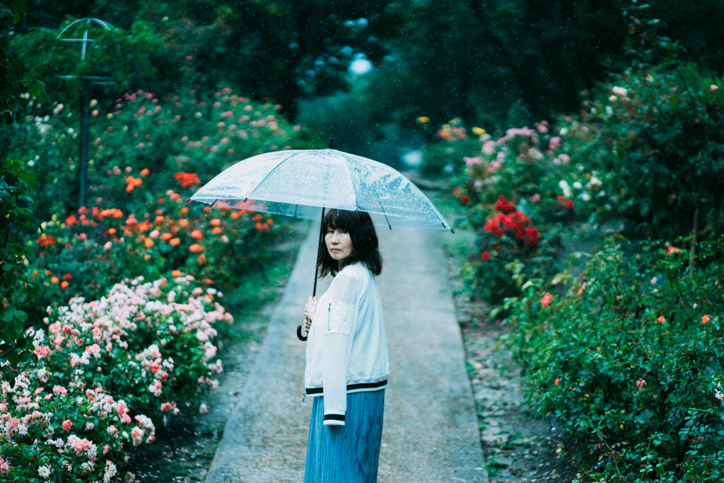 RainyDay Lily