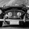 Austin Healey