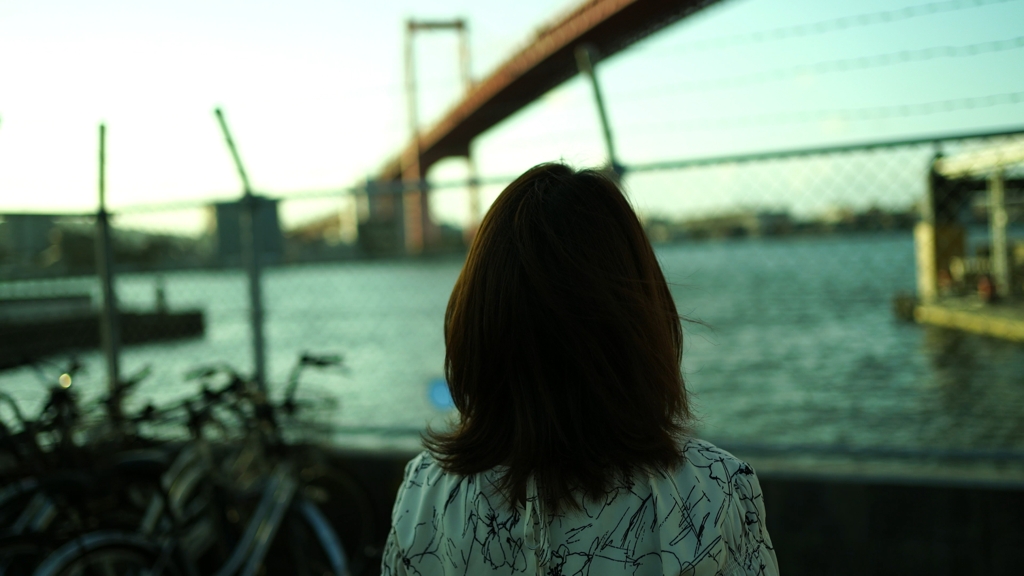 cinematic wakato story