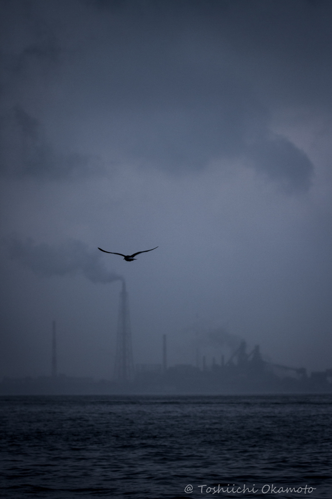 whither　　　　　 何処へ・・・