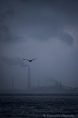 whither　　　　　 何処へ・・・