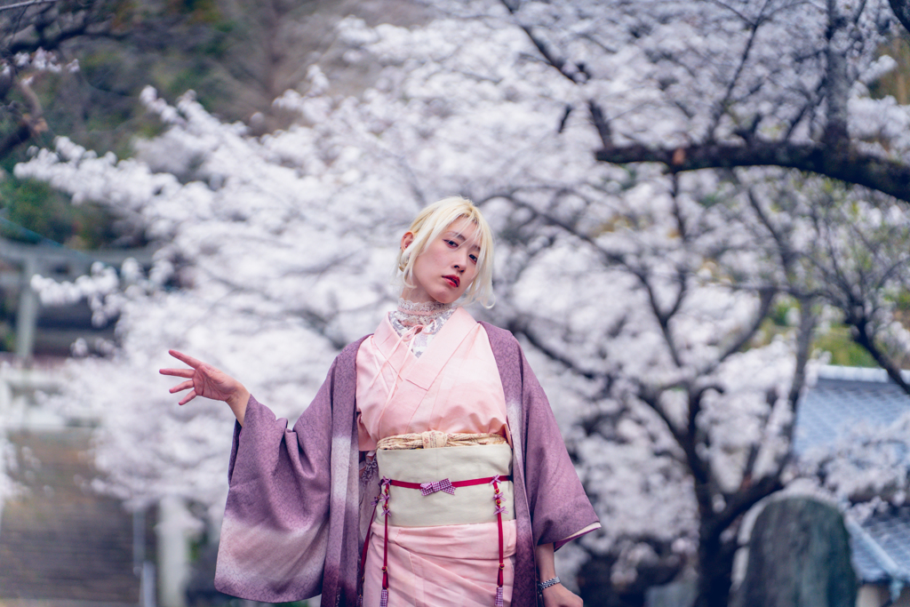 螺旋と桜