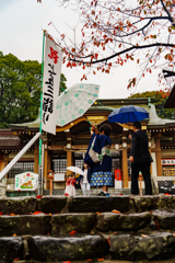 雨の七五三詣り