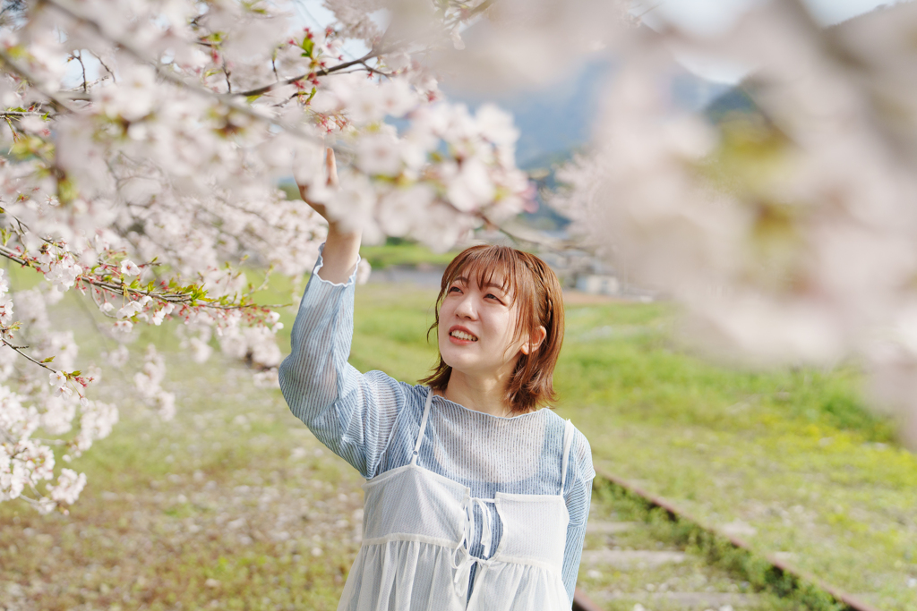 SATO 桜　