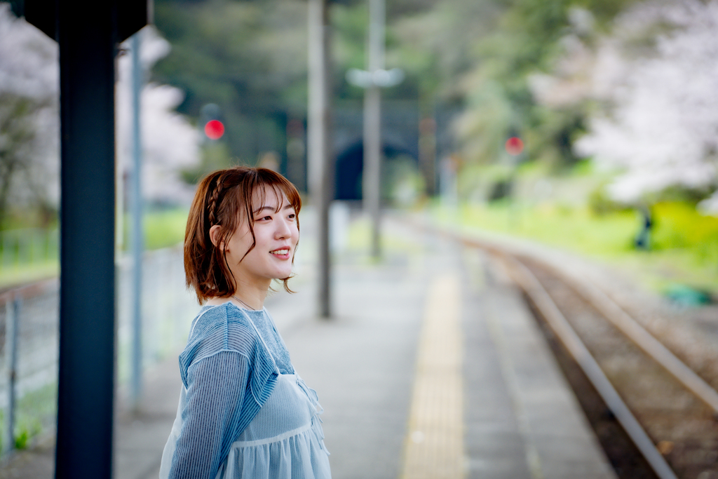 SATO　桜