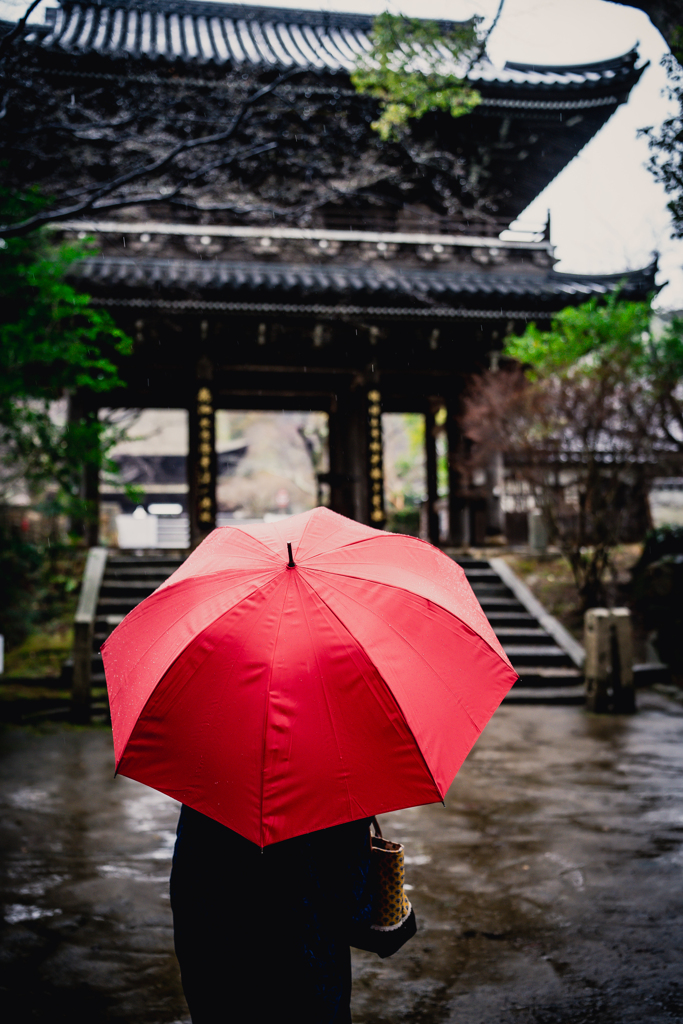 NATSUKI　雨の功山寺