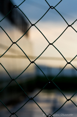 On the other side of the fence