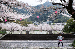 SAKURA ROOKS!!