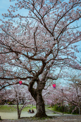 踊り子
