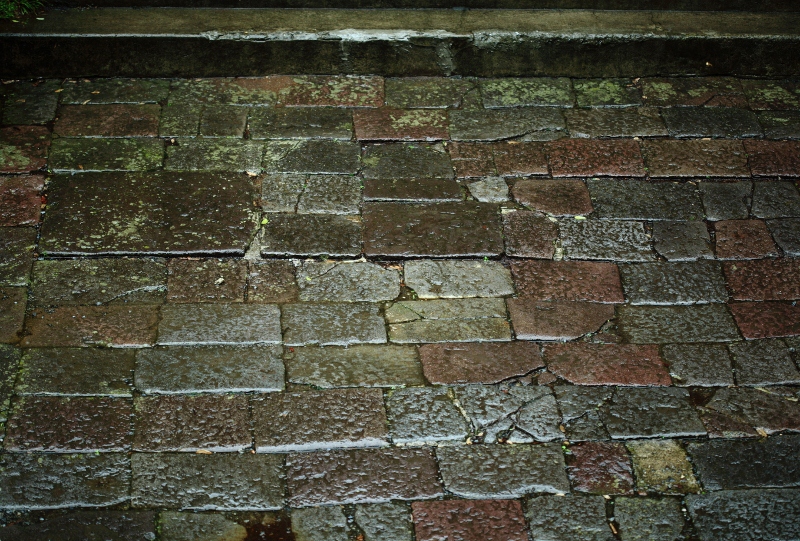DPP_0056 (800x541)