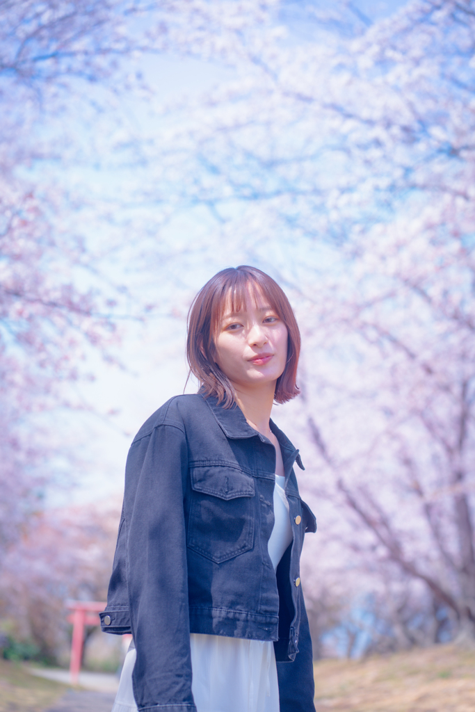 桜日和