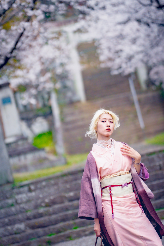 螺旋と桜