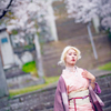 螺旋と桜