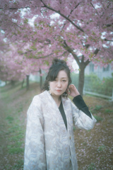 KINO sakura