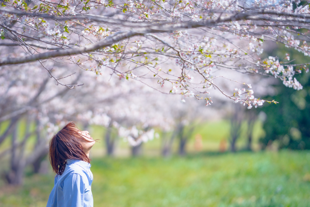 薄桜色　Michika