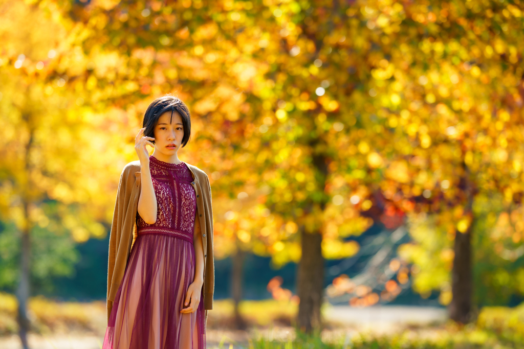 SHIHO ヒカリの森