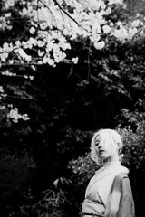 淡紅色