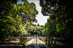 森に集う