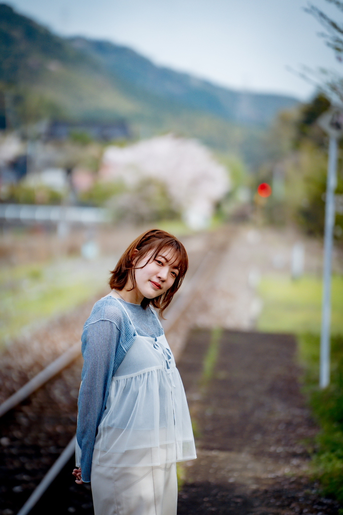 SATO　桜