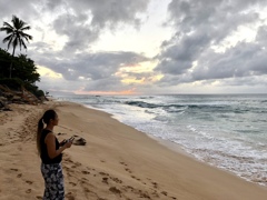 ノース・ショア sunset 