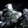 Night　Roses