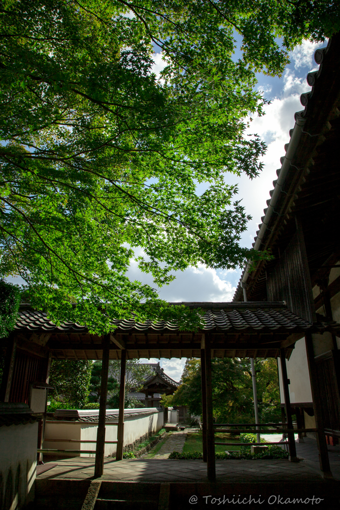 広寿山福聚寺30