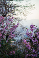 足立山より